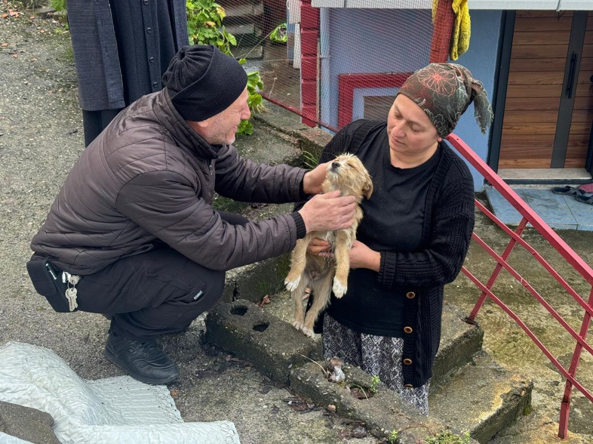 zonguldakta cins kopegini sokaga terk etti 2 QPVXaZj6