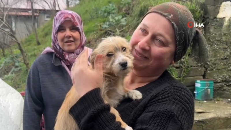 zonguldakta cop atma bahanesiyle kopegini sokaga birakti g5tQCEga