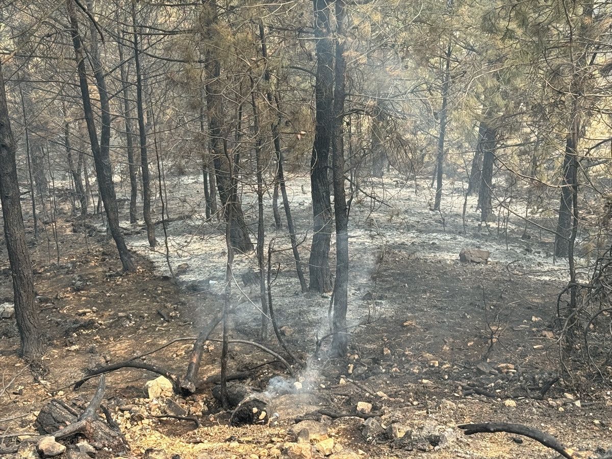 19 gunde 61 orman yangini 23 supheli gozaltina alindi 0 7GGGvEiR