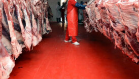 38 yillik et imparatorlugu cokuste resmen ilan etti y4OUrQVE