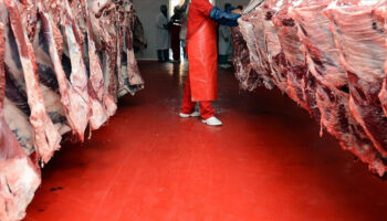 38 yillik et imparatorlugu cokuste resmen ilan etti y4OUrQVE