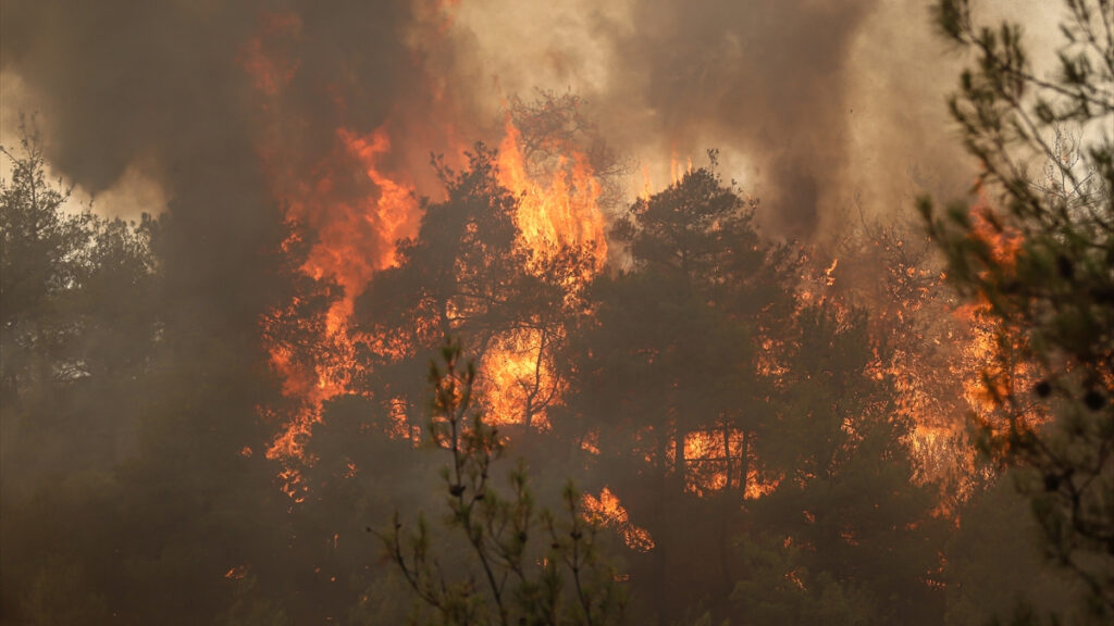 4 ilde orman yangini panigi mudahaleler suruyor 2TZg6xgX