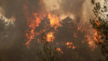 4 ilde orman yangini panigi mudahaleler suruyor 2TZg6xgX