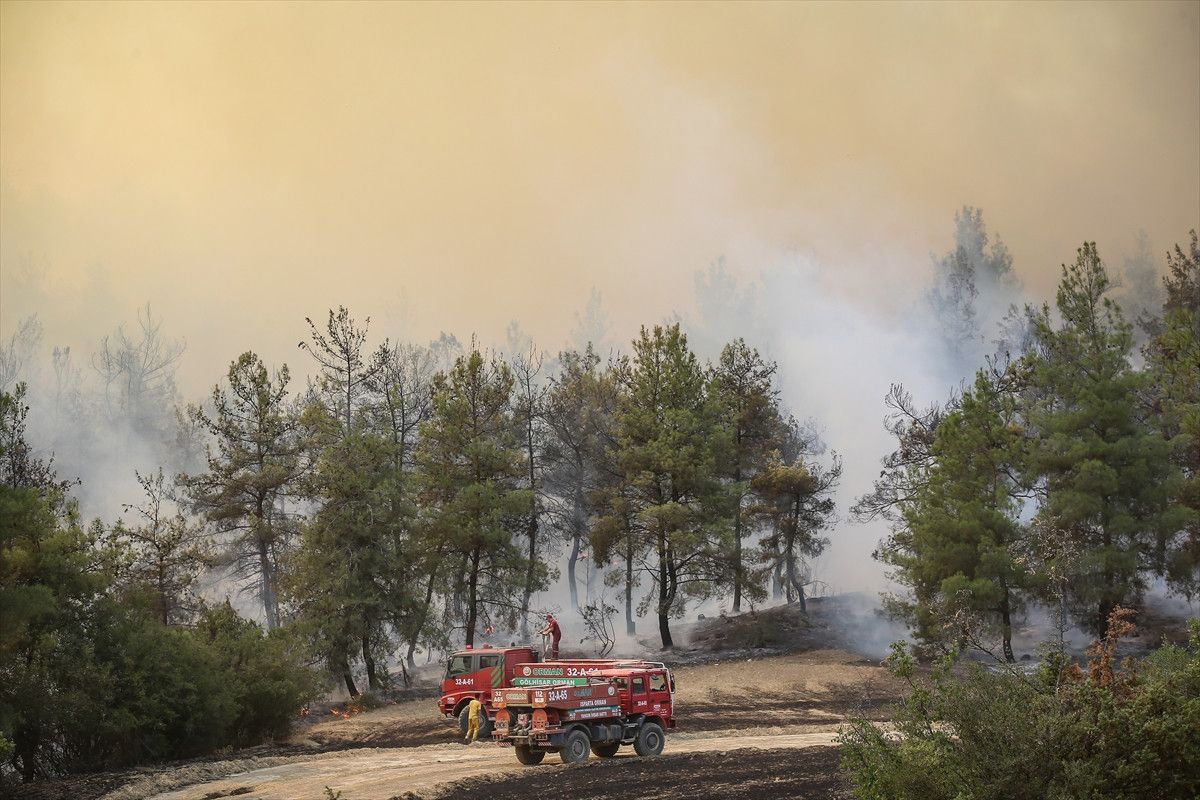 4 ilde orman yangini panigi mudahaleler suruyor 8 zO8YdU3g