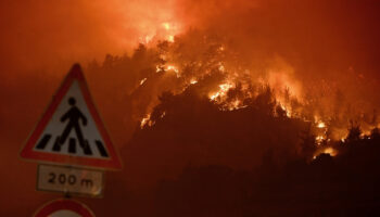 afad yanginlarla mucadele kapsaminda 5 bin 400 personel gorev yapmaktadir qHHcWlGY
