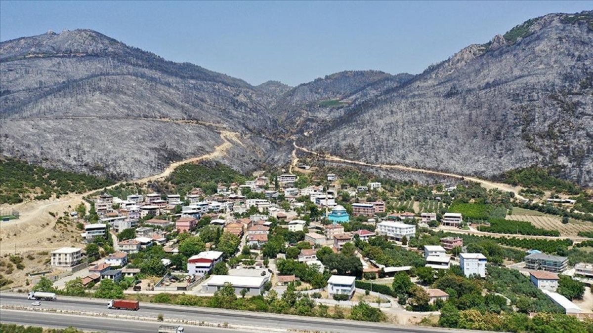 Ali Yerlikaya açıkladı: Yangından etkilenen bölgelere 128,4 milyon TL ödenek gönderildi 1 ali yerlikaya acikladi yangindan etkilenen bolgelere 1284 milyon tl odenek gonderildi 0 w3dXzLCn