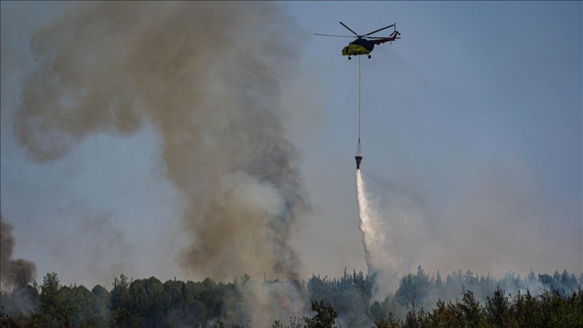 Ali Yerlikaya açıkladı: Yangından etkilenen bölgelere 128,4 milyon TL ödenek gönderildi 2 ali yerlikaya acikladi yangindan etkilenen bolgelere 1284 milyon tl odenek gonderildi 1