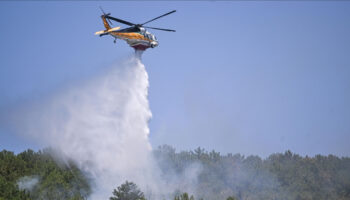 ali yerlikaya acikladi yangindan etkilenen bolgelere 1284 milyon tl odenek gonderildi v4bwQyvy