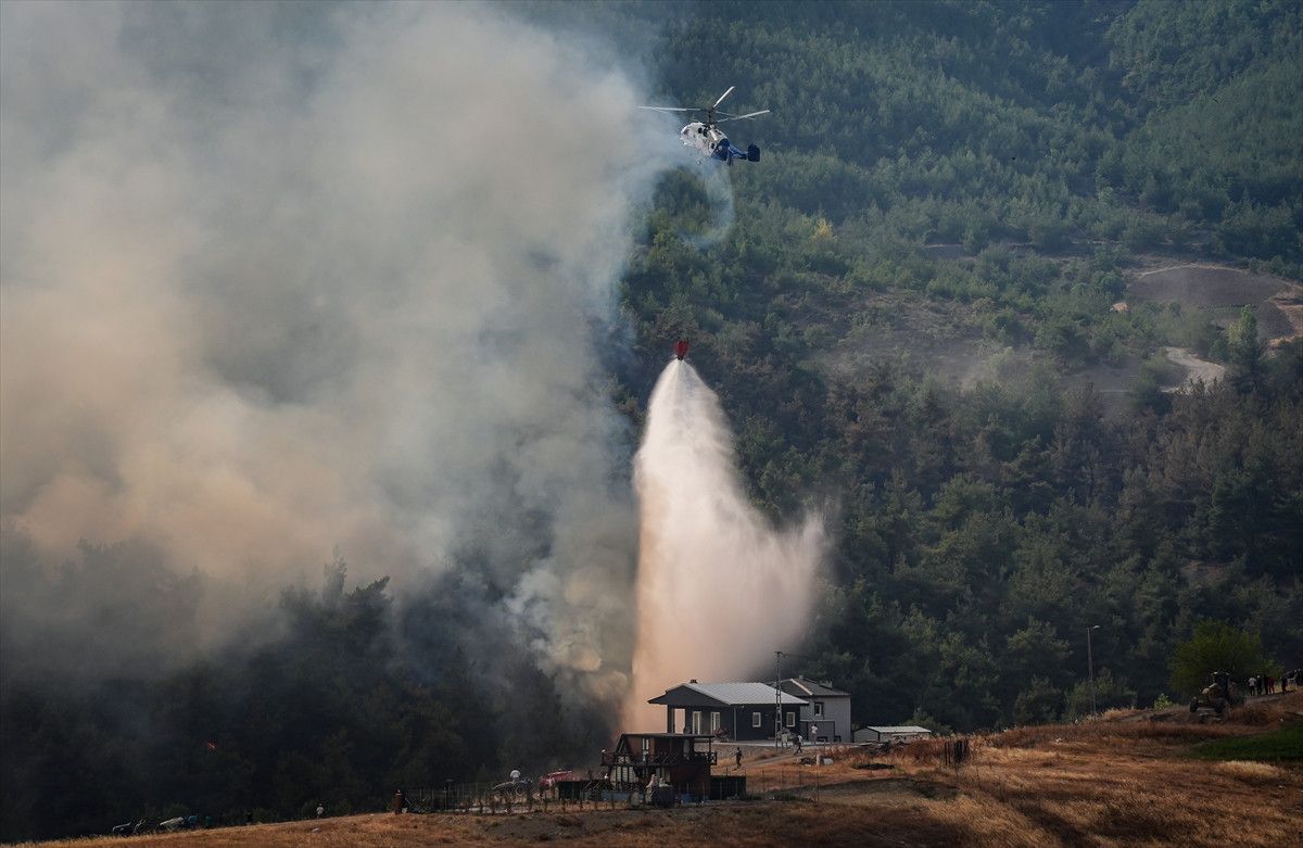 ali yerlikaya duyurdu orman yanginlariyla ilgili 3 kisi tutuklandi 0 d9pOA7us