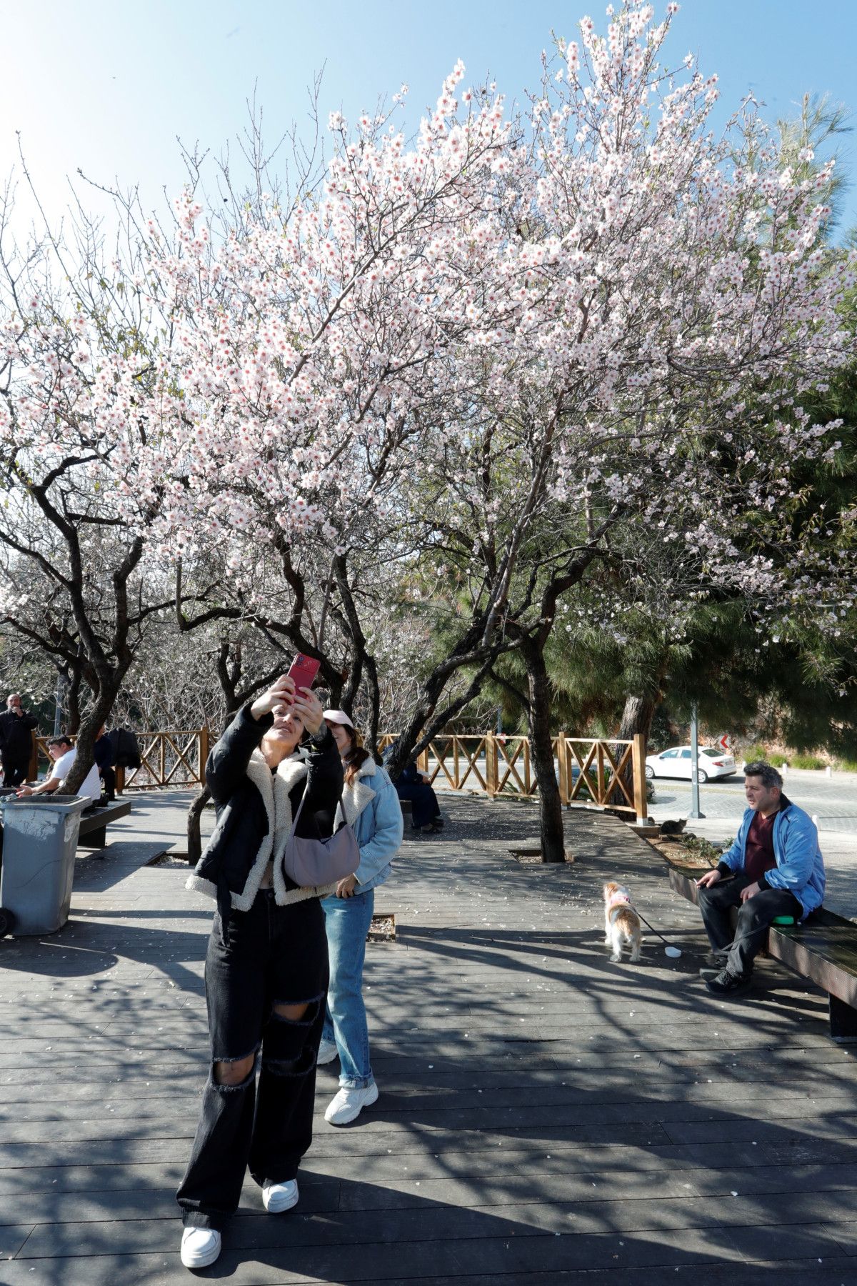 antalyada subat ayinda agaclar cicek acti 2 elrBkvDZ