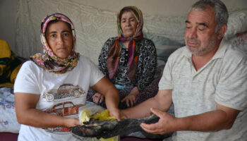 antalyadaki yanginda evleri kul oldu 90 bin liralik birikimleri gitti hnhftHI7