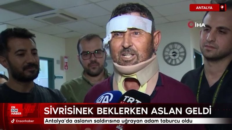 aslanin saldirisina ugrayan adam taburcu oldu sivrisinek beklerken aslan geldi M1a2aqSp