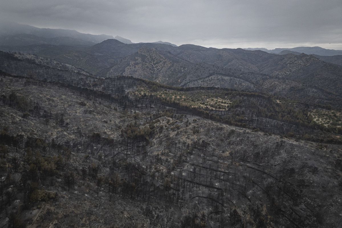avrupa kavruluyor dunyanin ormanlari yangin tehdidi altinda 2 mkKmcPiG