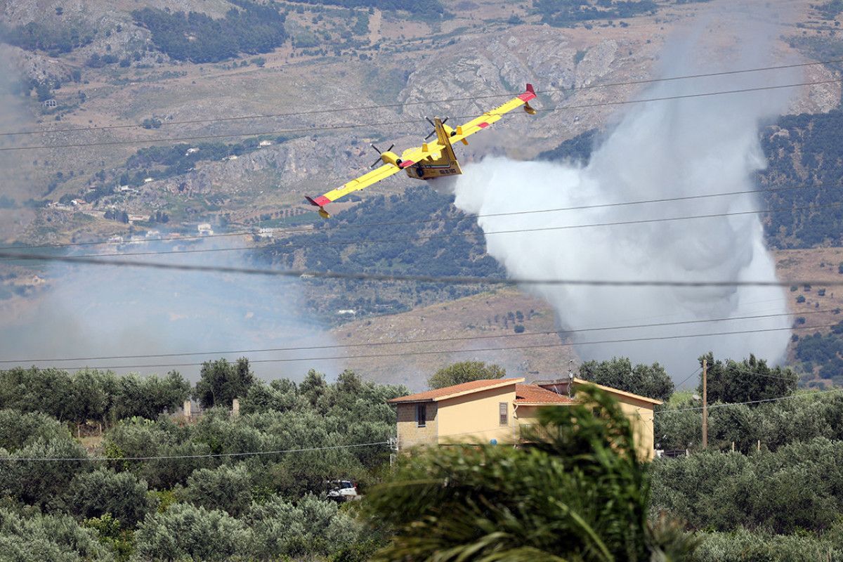 avrupa kavruluyor dunyanin ormanlari yangin tehdidi altinda 4 tdeyyz8E