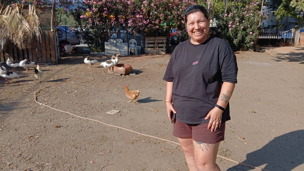 balikesirde kumese kapatilan kazlar cikarildi 2