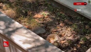 bartinda mezarda bal mumundan yapilmis bebek ve bebege sarili muska bulundu XH8heB4u