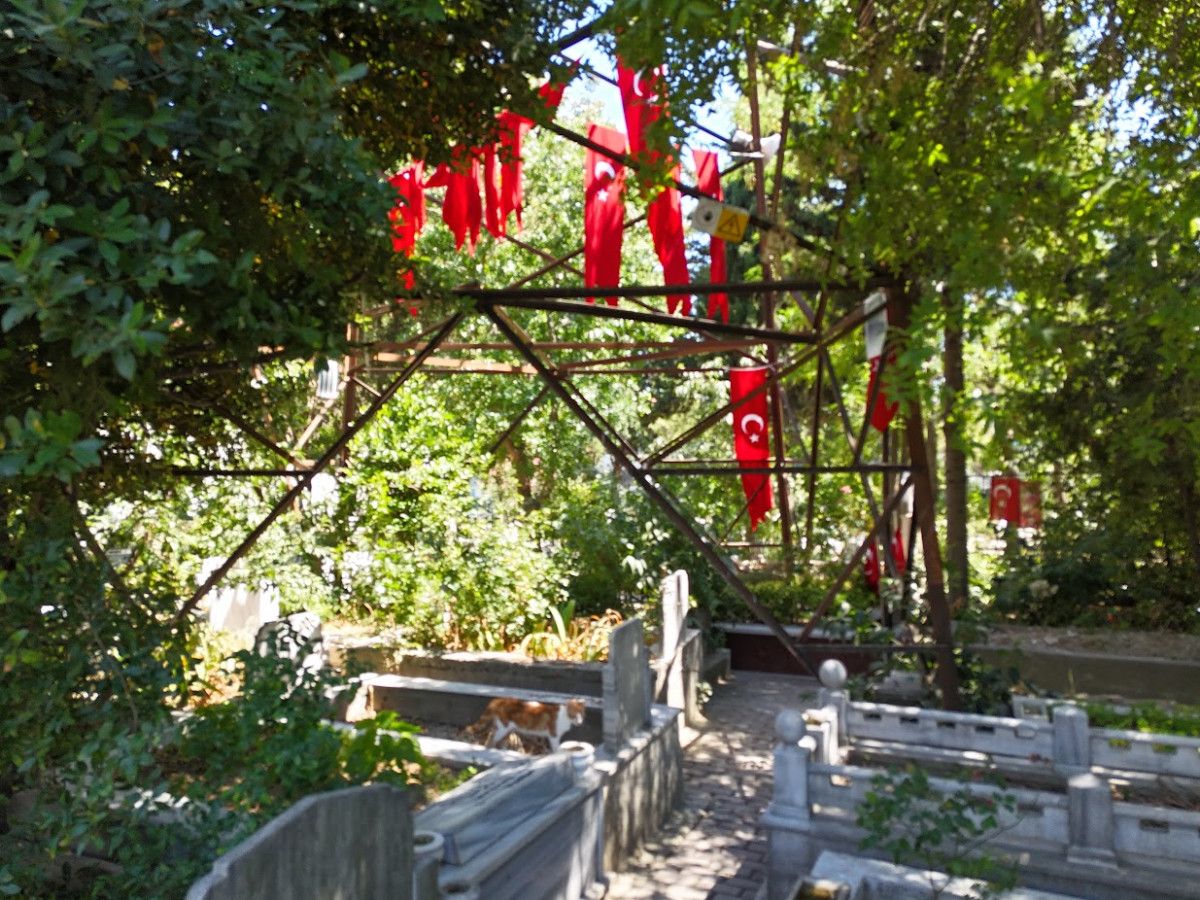 baskan erdoganin bayrak asma cagrisina bagcilardan guclu destek 12 Oin2ZY57