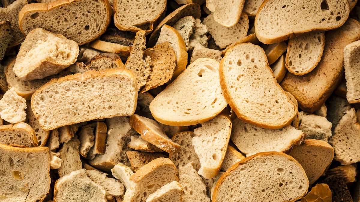 Bayat ekmekleri toprağa gömün, neler oluyor görün... 1 bayat ekmekleri topraga gomun neler oluyor gorun 0 ujccqIGh