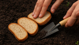 bayat ekmekleri topraga gomun neler oluyor gorun 3IFZjmFb