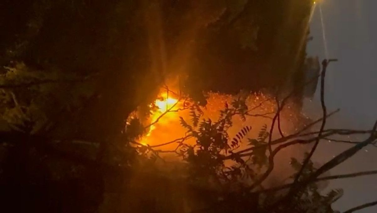 beykozdaki yangini cikaran sahis yakalandi eglenmek icin fisek attim 1 RANj55Su