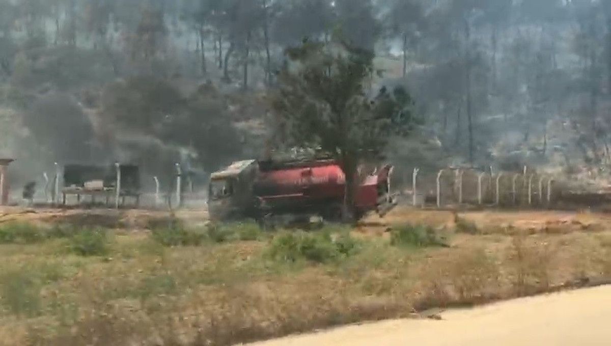 bilecikteki orman yanginindan urkuten goruntuler 0 QydVUjaL