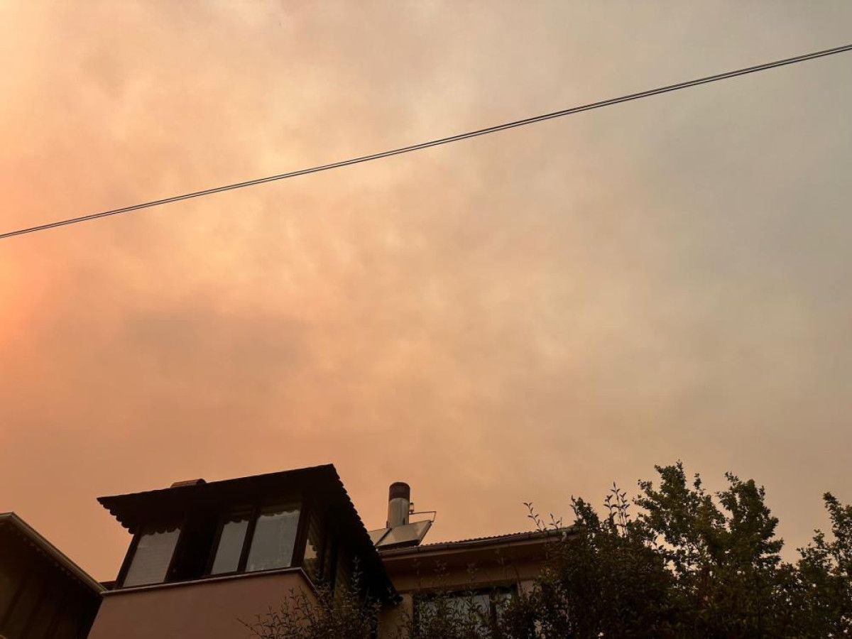 bilecikteki orman yanginindan urkuten goruntuler 3 RGeNLnZV