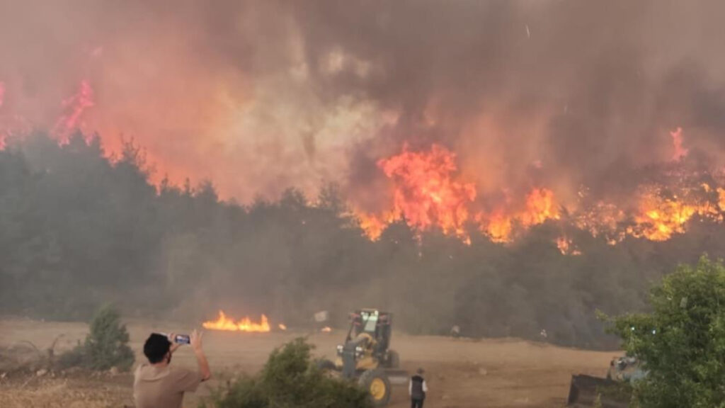 bilecikteki orman yanginindan urkuten goruntuler sUw5WWTm