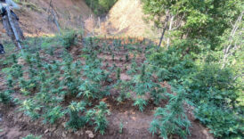 bingolde uyusturucuyla mucadele hiz kesmiyor DrQW8BRb