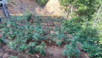 bingolde uyusturucuyla mucadele hiz kesmiyor DrQW8BRb