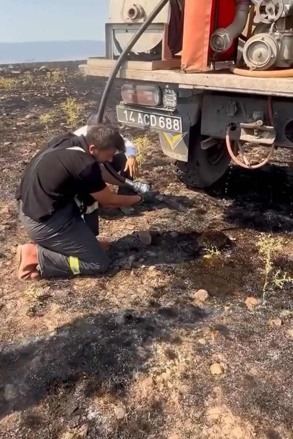 boluda yangindan etkilenen kirpiyi ekipler kurtardi 0 J47U2W2n
