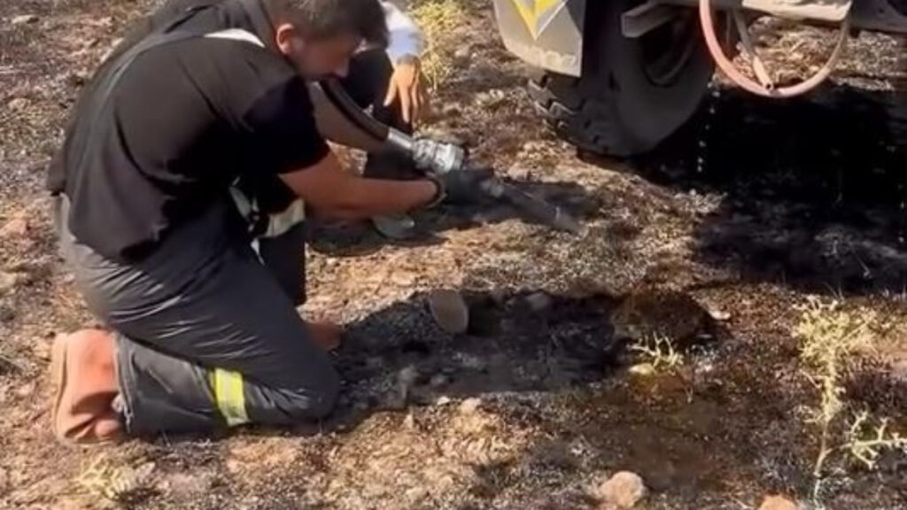 boluda yangindan etkilenen kirpiyi ekipler kurtardi 8N5MyqJk