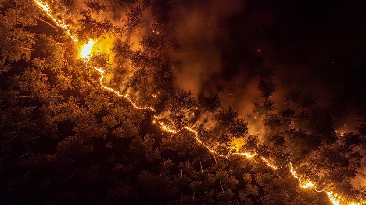bursa harmanciktaki orman yanginina etkin mudahale suruyor 1 pfuBNFrD