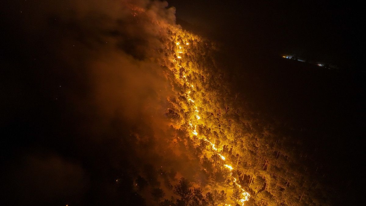 bursa harmanciktaki orman yanginina etkin mudahale suruyor 2 dVnGYCZD