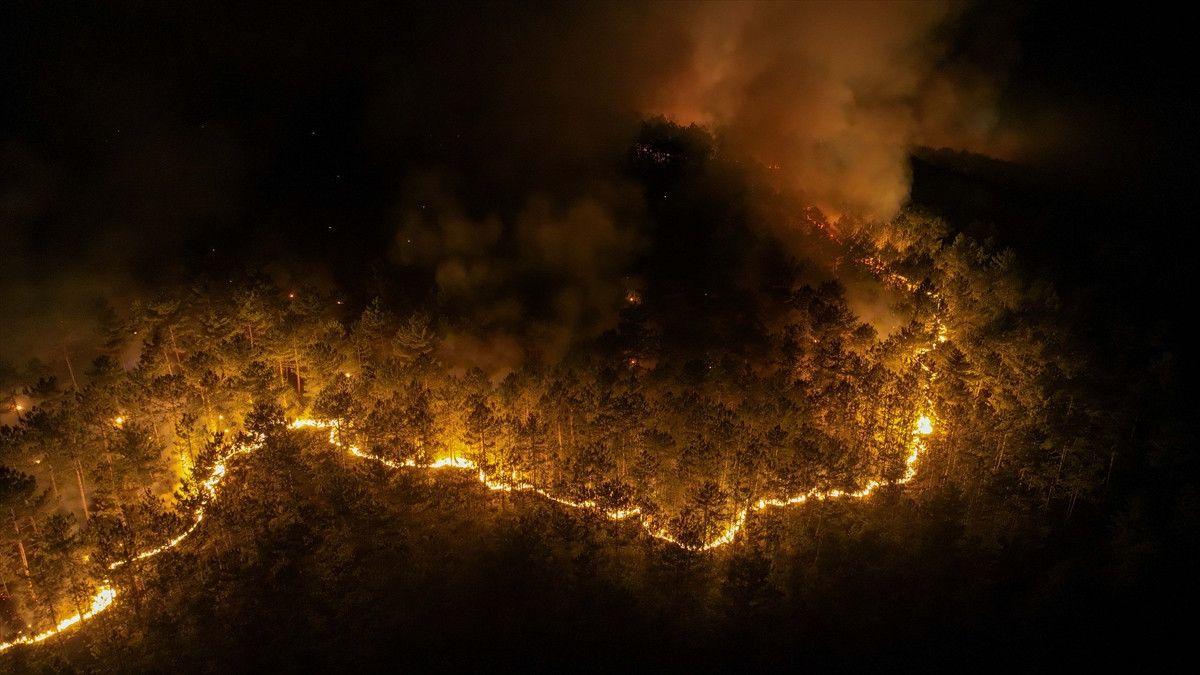 bursa harmanciktaki orman yanginina etkin mudahale suruyor 3 D6HH6AfC