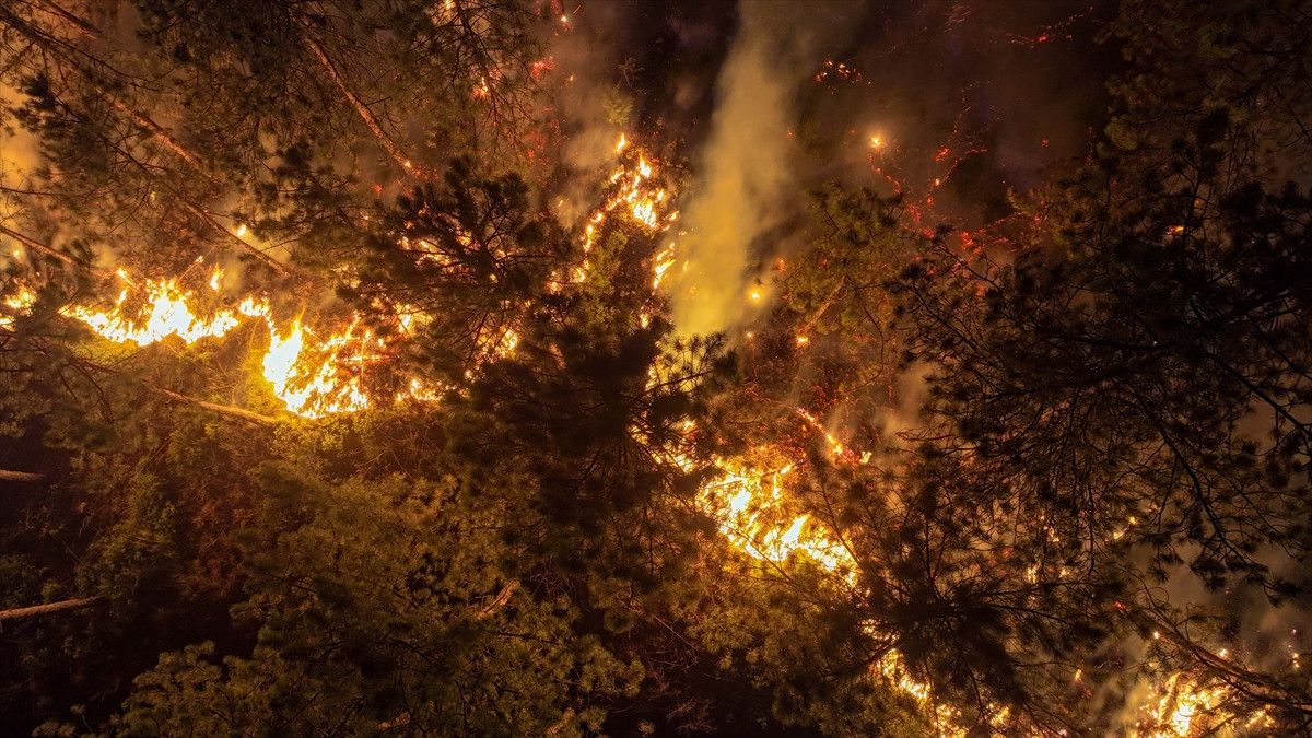 bursa harmanciktaki orman yanginina etkin mudahale suruyor 4 vaYTtndF