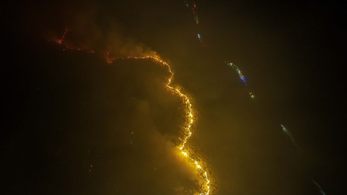 bursa harmanciktaki orman yanginina etkin mudahale suruyor 6