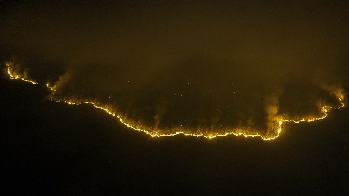 bursa harmanciktaki orman yanginina etkin mudahale suruyor 7