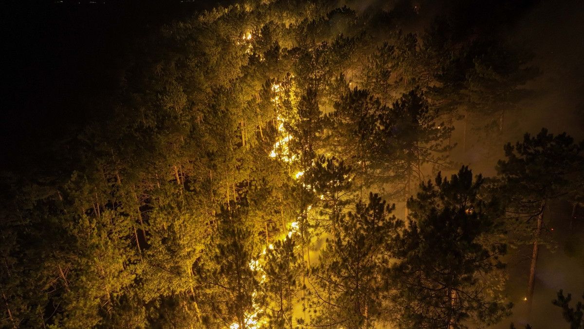 bursa harmanciktaki orman yanginina etkin mudahale suruyor 9 5XShk4RR