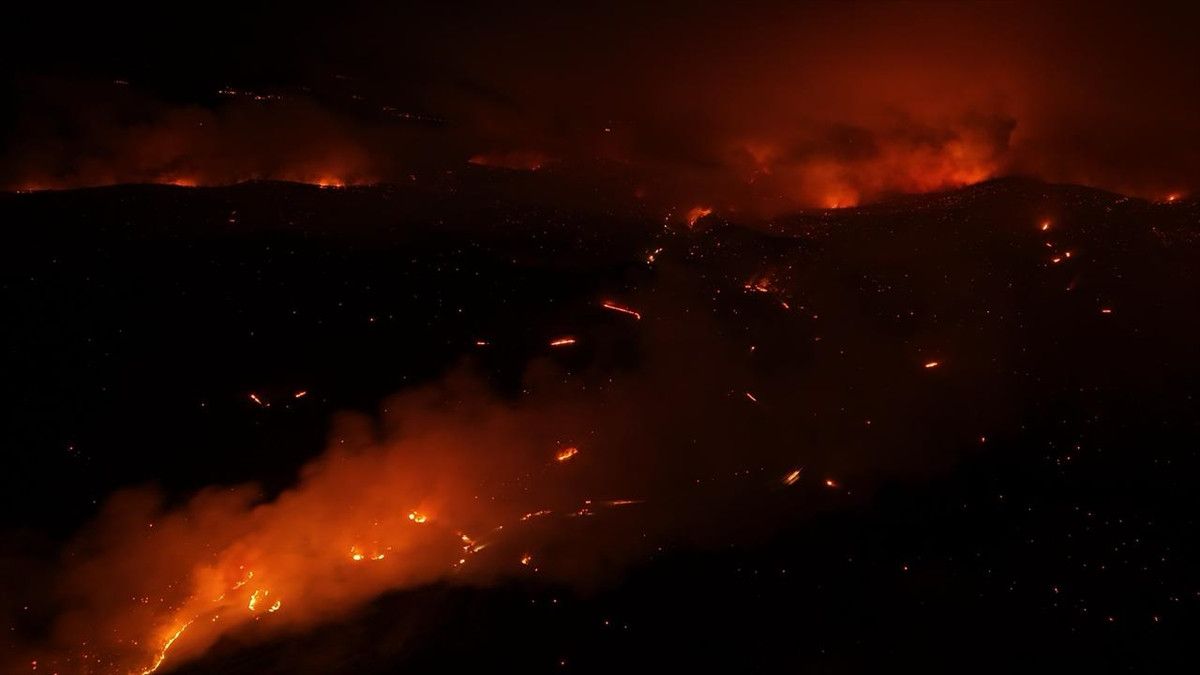 bursa orhanelide orman yanginina mudahale suruyor 0 HEqtkibZ