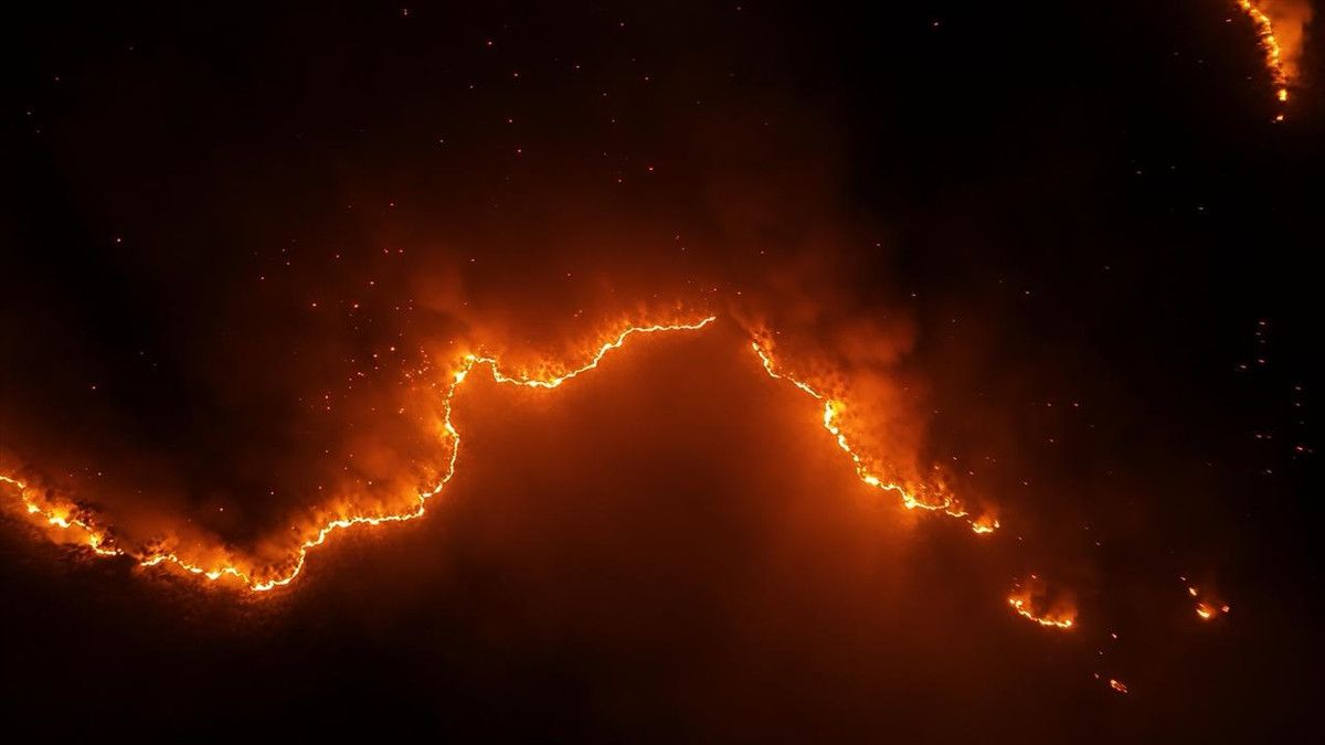 bursa orhanelide orman yanginina mudahale suruyor 1