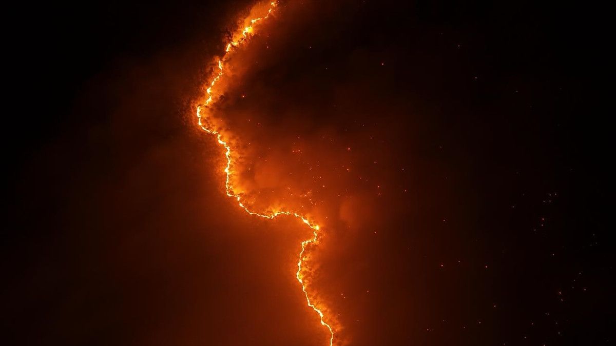 bursa orhanelide orman yanginina mudahale suruyor 2 8hwPQW2K