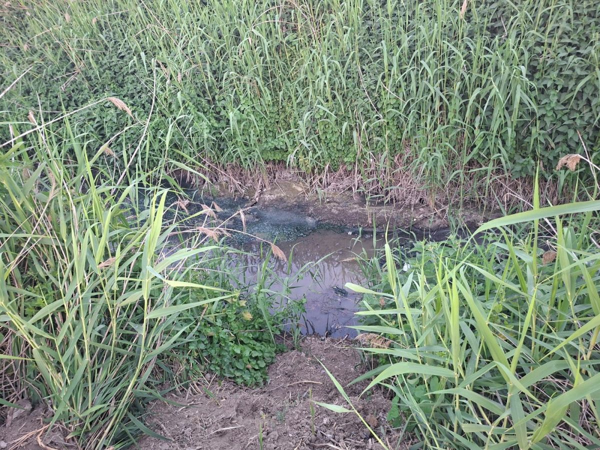 bursada dereye akan lagim suyu mahalleliyi nefes alamaz hale getirdi 0 3cQbfjFu