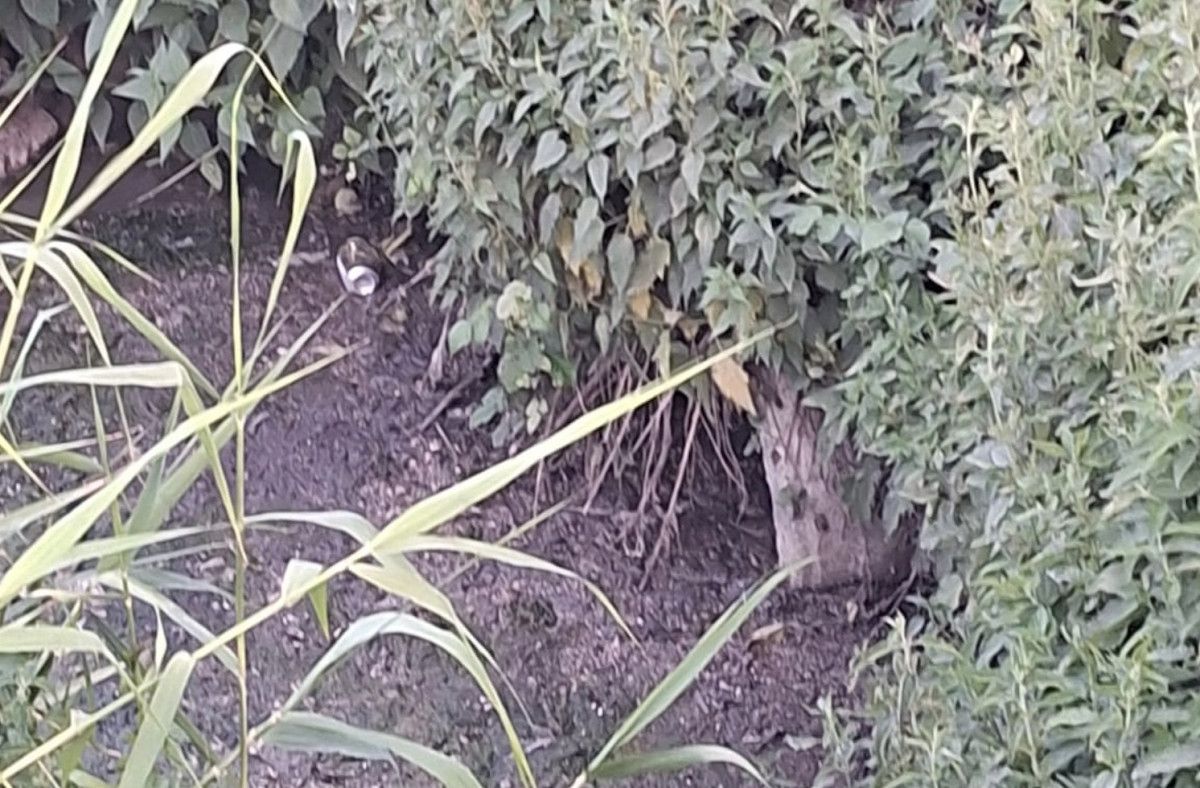 bursada dereye akan lagim suyu mahalleliyi nefes alamaz hale getirdi 2 TvrSMMIK