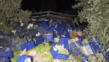 bursada kamyon devrildi 10 ton biber etrafa dagildi Ac3mv3OZ