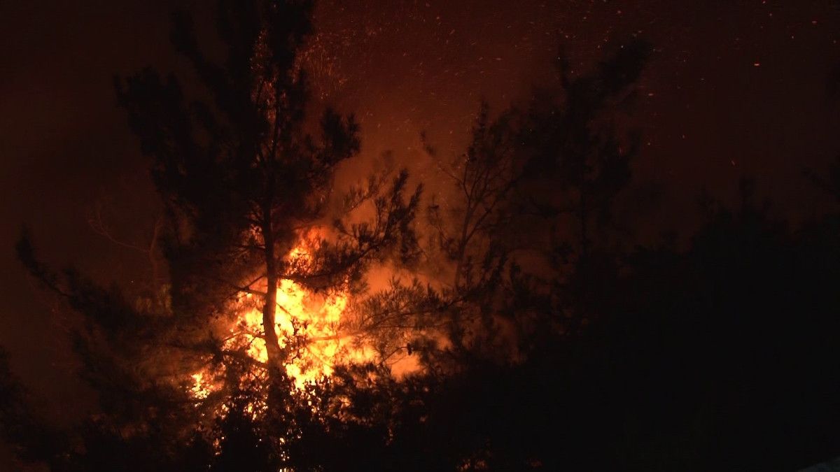 bursadaki orman yanginiyla mucadele eden alev savascilari hali sahada dinlendi 1 vO5W8Gsj