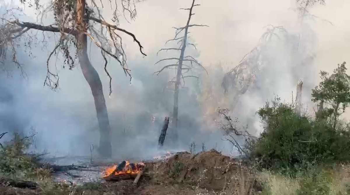 bursadaki orman yanginiyla mucadele eden alev savascilari hali sahada dinlendi 2 gl256Qjj