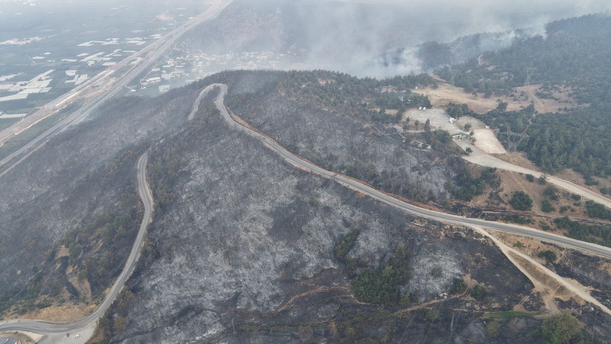 Bursa'daki yangında oluşan hasar gün ağarınca ortaya çıktı 1 bursadaki yanginda olusan hasar gun agarinca ortaya cikti 0 AsaYwZGk