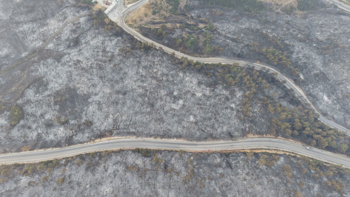 Bursa'daki yangında oluşan hasar gün ağarınca ortaya çıktı 3 bursadaki yanginda olusan hasar gun agarinca ortaya cikti 2 ySJr1ykn