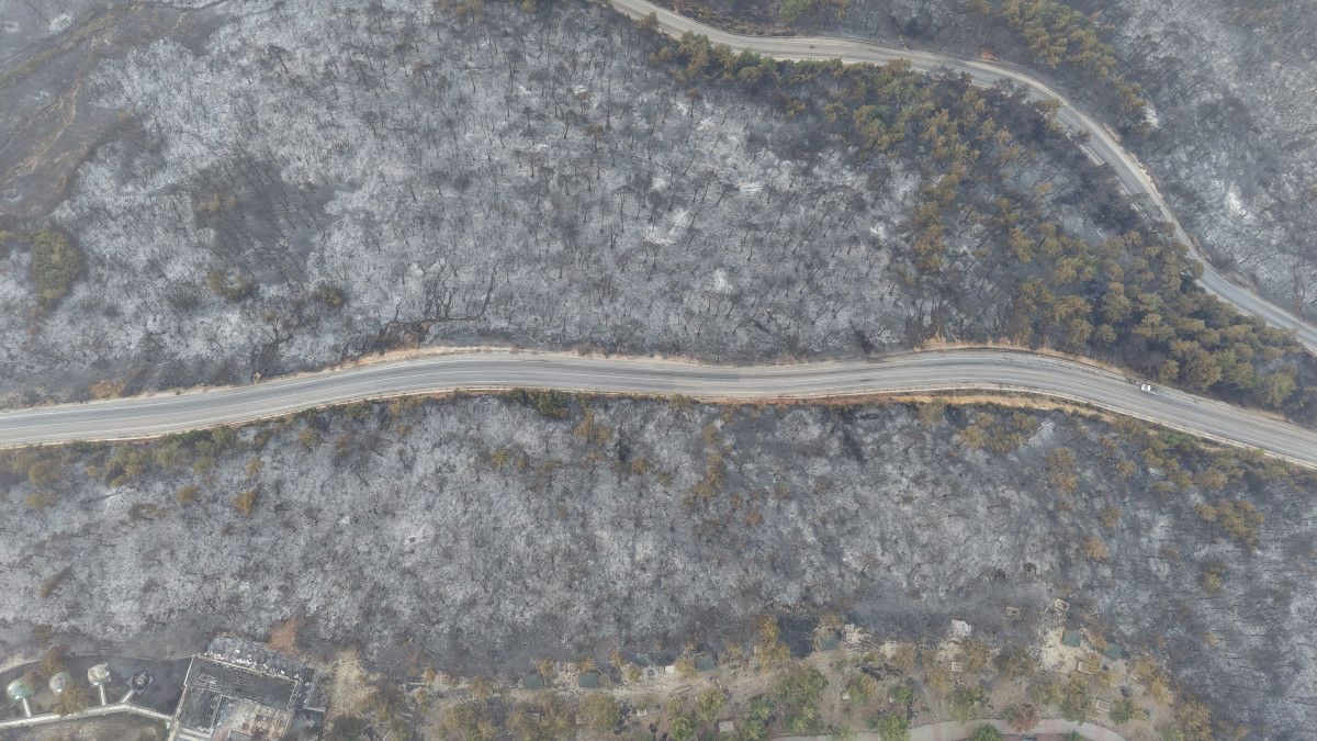 Bursa'daki yangında oluşan hasar gün ağarınca ortaya çıktı 4 bursadaki yanginda olusan hasar gun agarinca ortaya cikti 3 qUWg2yCR