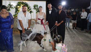 canakkalede bir dugunde gelin ve damada buzagi hediye edildi YuhACs3q